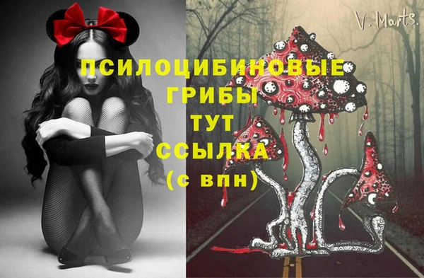 прущая мука Протвино