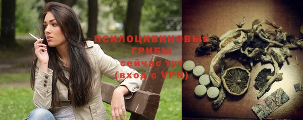 spice Пролетарск