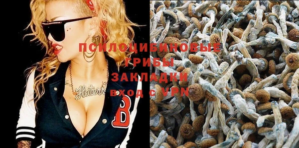прущая мука Протвино