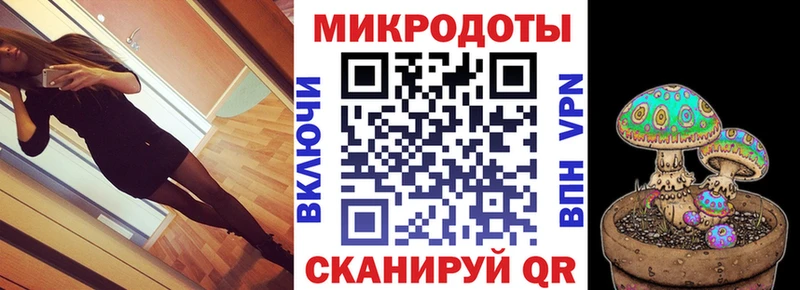 Галлюциногенные грибы Psilocybine cubensis Семилуки